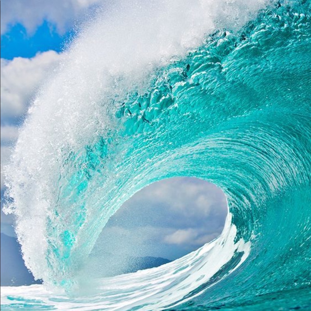 Meet your Posher, Abigail